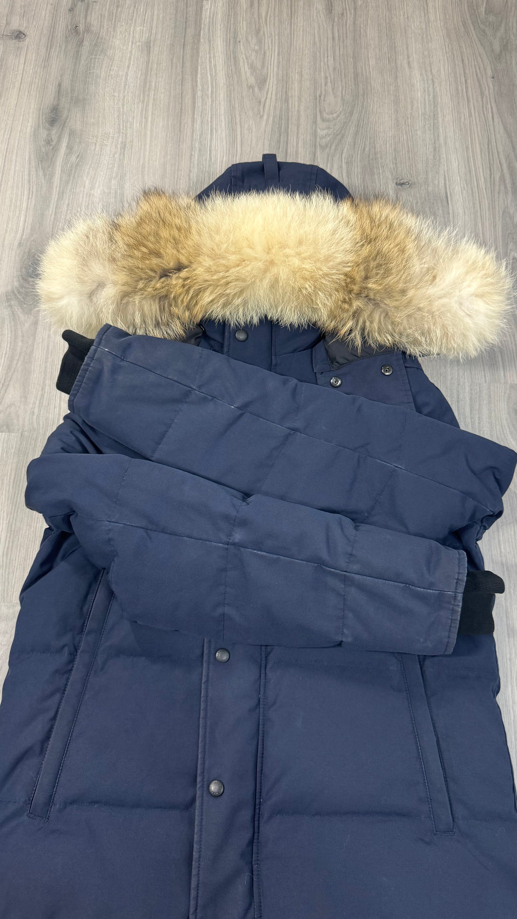 Canada Goose Admiral Blue Wyndham Parka