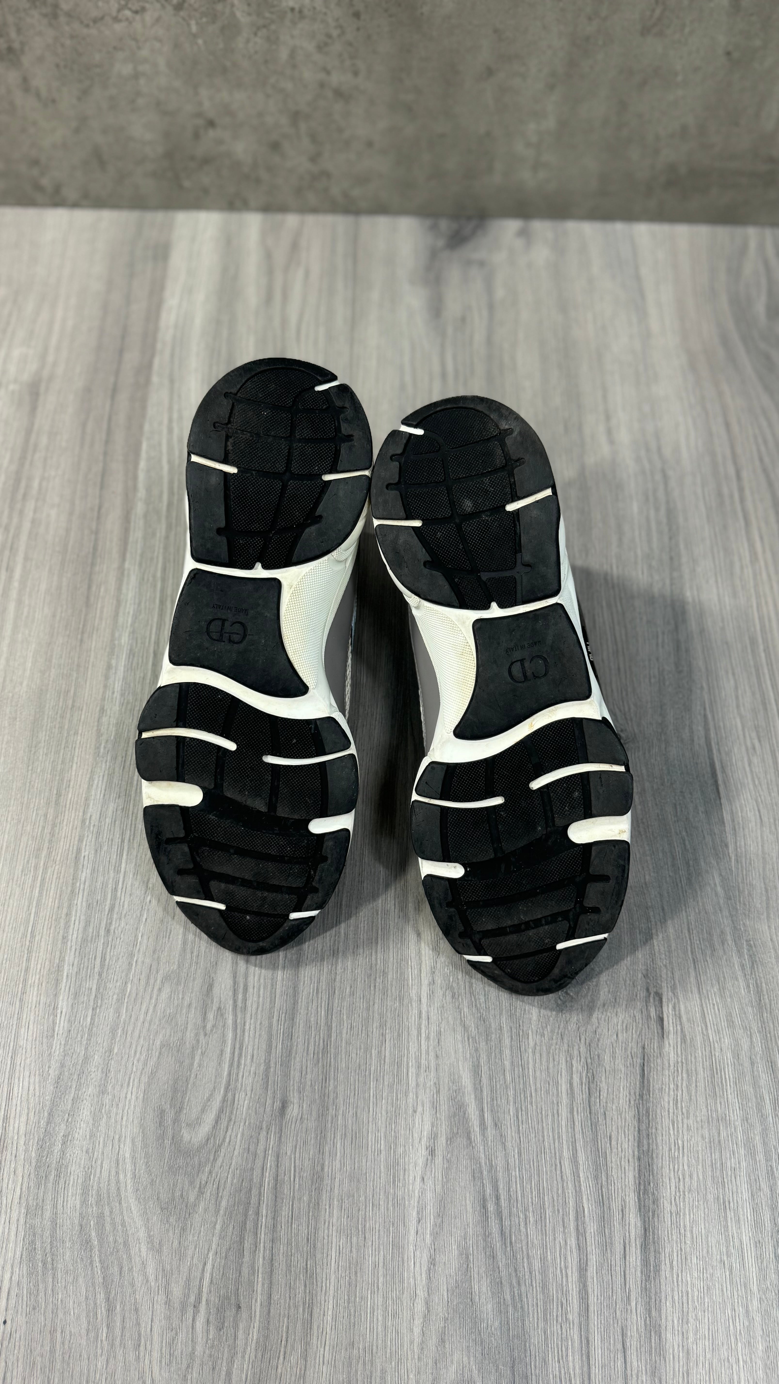 Dior B22s Green and White