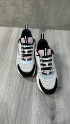 Dior B22s Pink